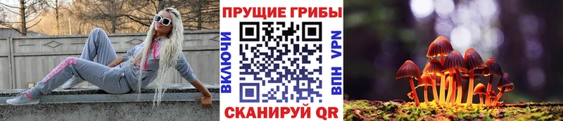 Галлюциногенные грибы Psilocybine cubensis  Купить  Горнозаводск 